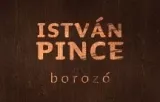 Profilkép