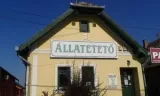 Profilkép