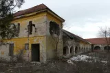Profilkép