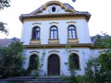 Profilkép