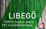 Profilkép