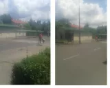Profilkép