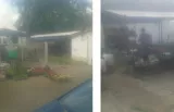 Profilkép