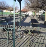 Profilkép