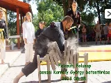 Profilkép