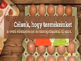 Profilkép