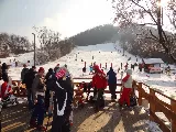 Profilkép