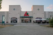 Videó