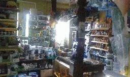 Videó