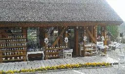 Videó