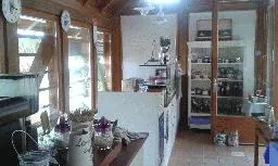 Videó