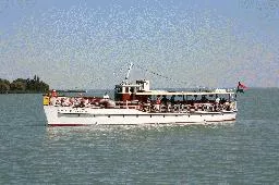 Videó