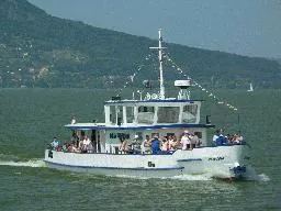 Videó