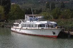 Videó