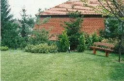 Videó