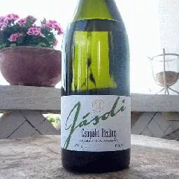Videó