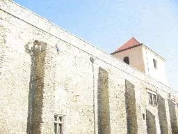 Videó