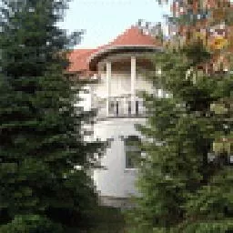 Videó