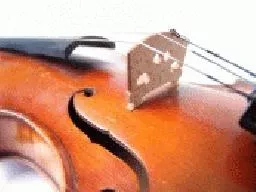 Videó