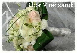 Videó