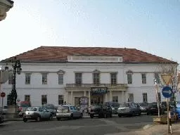 Videó