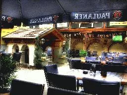 Videó