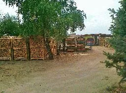 Videó