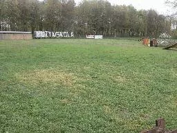 Videó