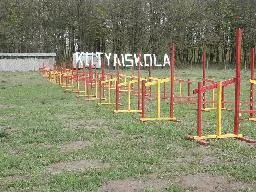 Videó