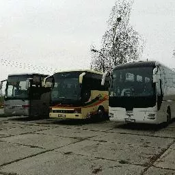 Videó