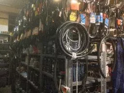Videó