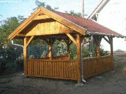 Videó