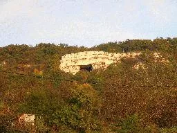 Videó