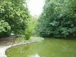 Videó