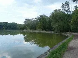 Videó