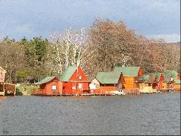 Videó