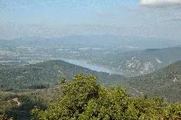 Videó