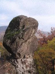 Videó