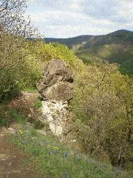 Videó