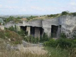 Videó