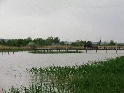 Videó