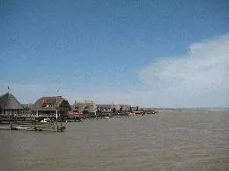 Videó