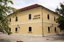 Videó