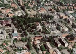 Videó
