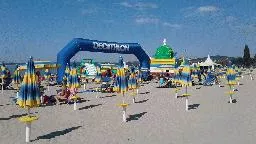 Videó