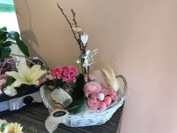 Videó