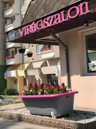 Videó