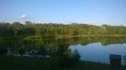 Videó