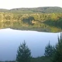 Videó