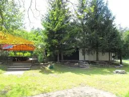 Videó
